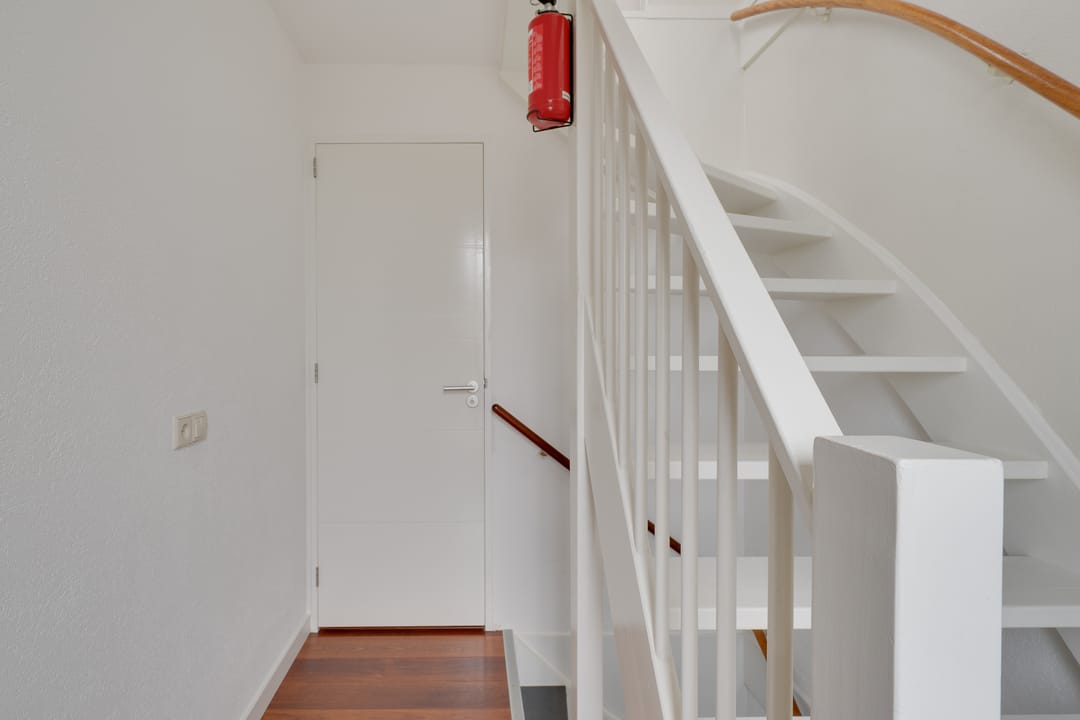 Foto 46 van Nijlkrokodil 1