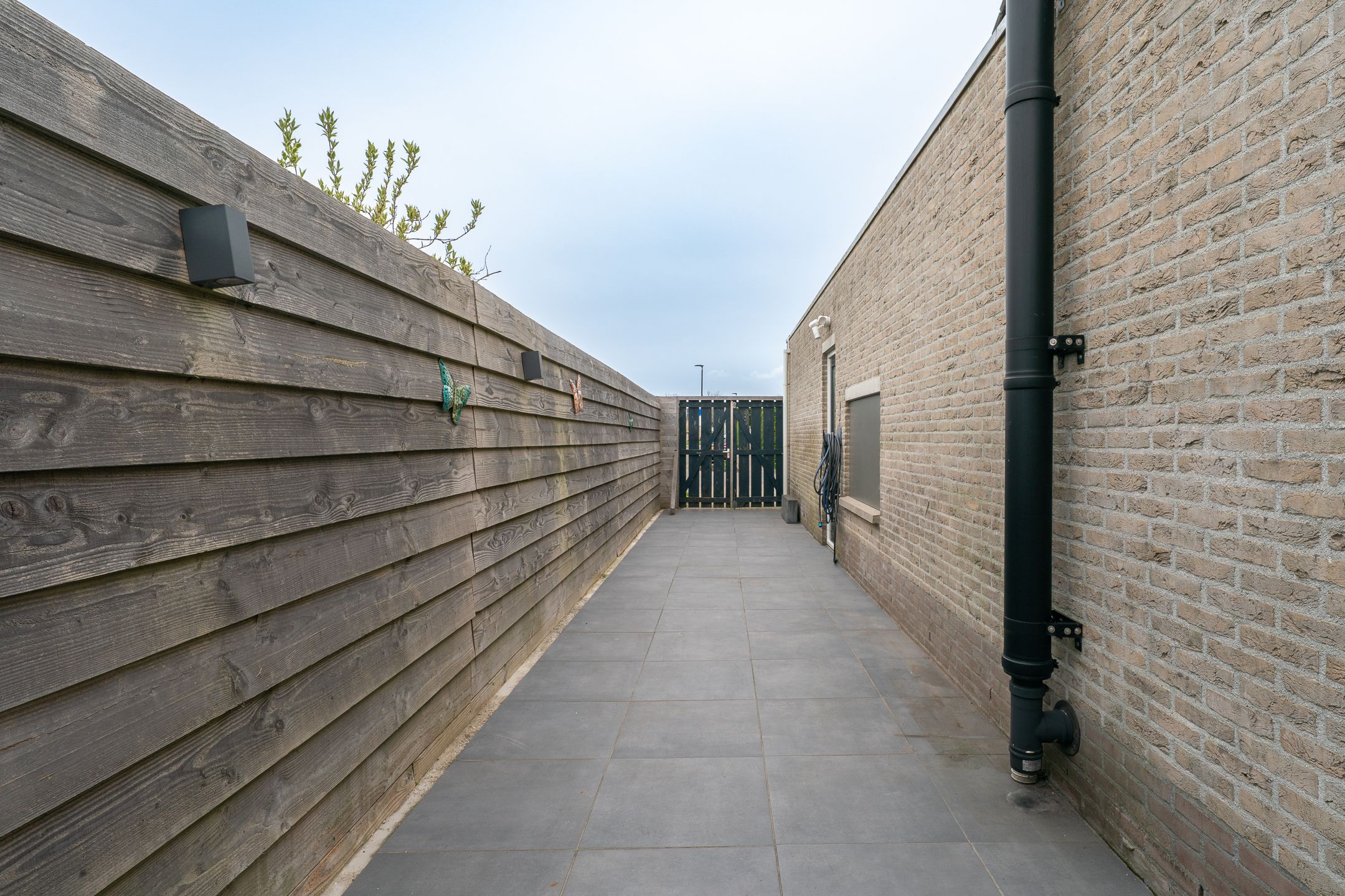 Foto 54 van Nijlkrokodil 1