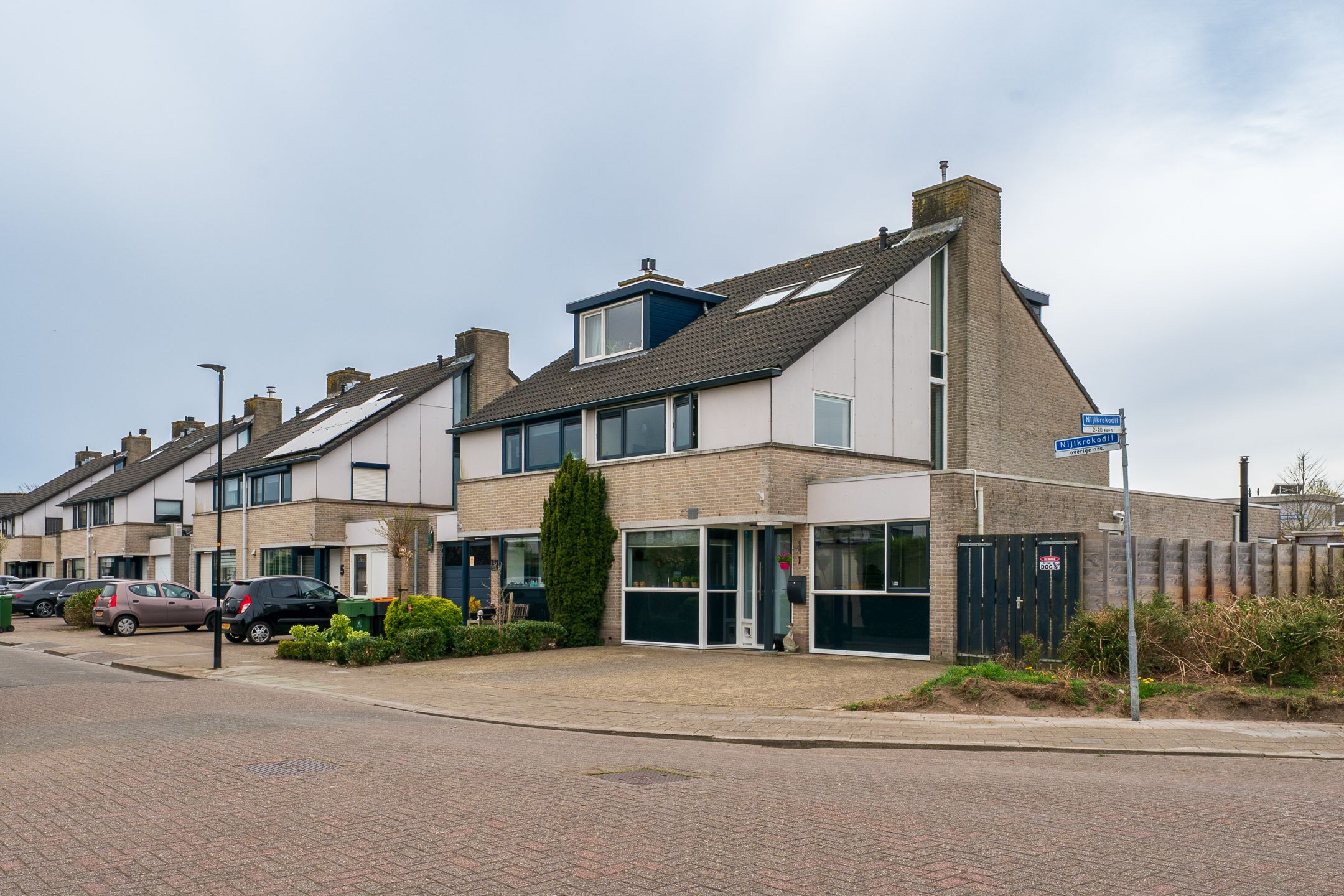 Foto 69 van Nijlkrokodil 1