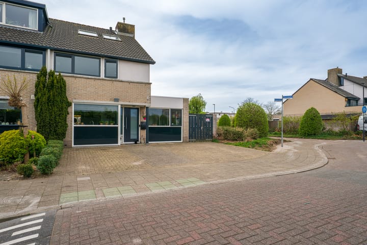 Foto 70 van Nijlkrokodil 1