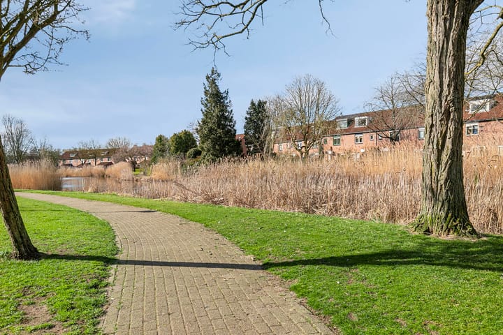 Foto 35 van Schouw 36