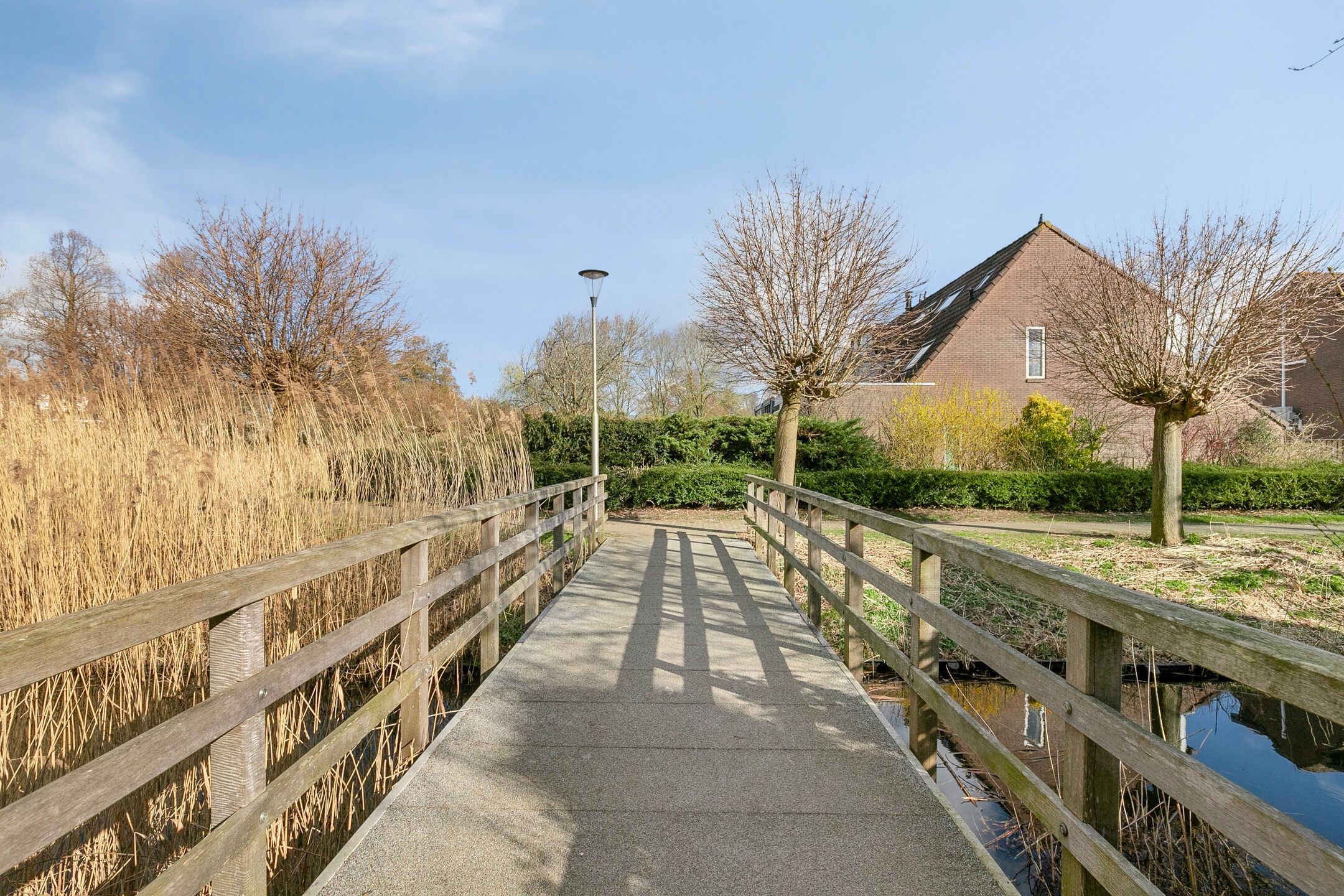 Foto 36 van Schouw 36