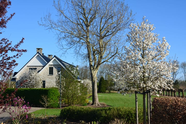 Foto 36 van Lange Meentweg 4