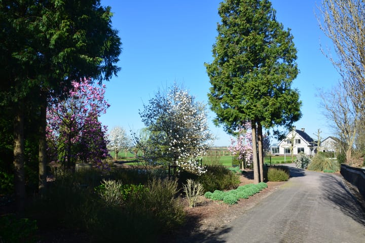 Foto 61 van Lange Meentweg 4