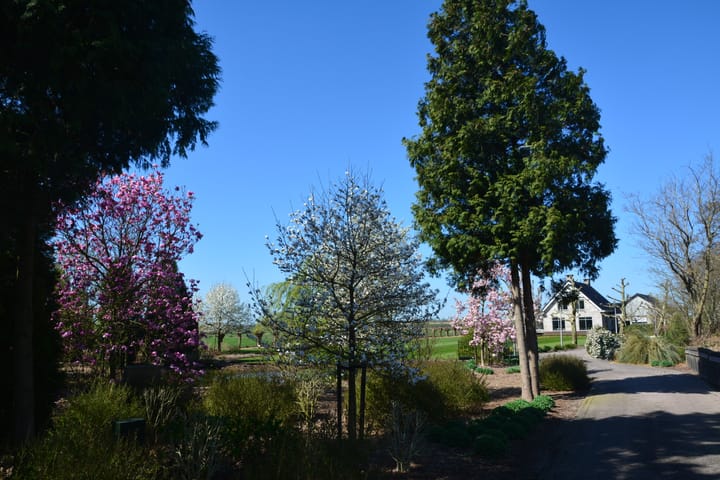 Foto 63 van Lange Meentweg 4