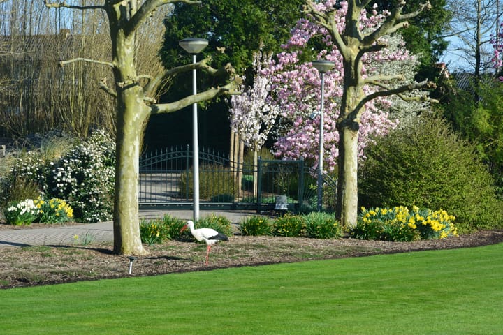 Foto 64 van Lange Meentweg 4