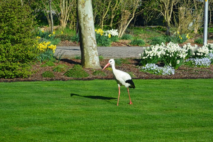 Foto 65 van Lange Meentweg 4