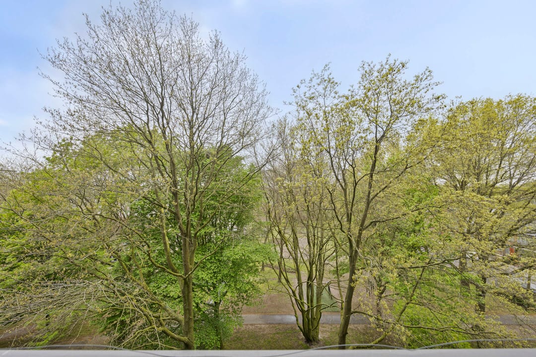 Foto 32 van Meulemansstraat 79