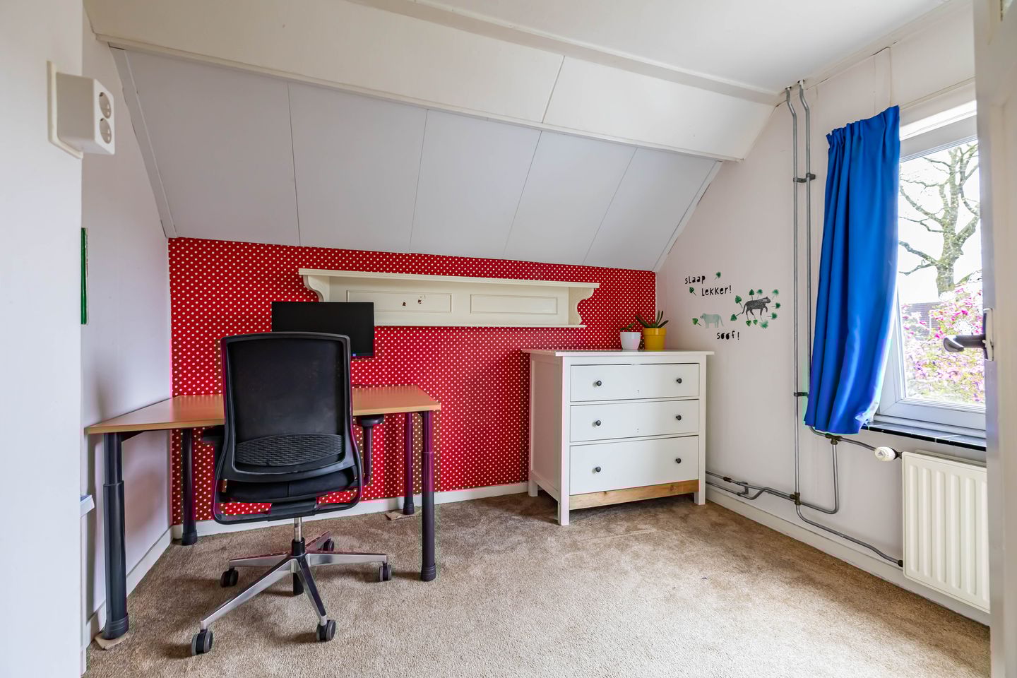 Photo 40 of Molenstraat 9