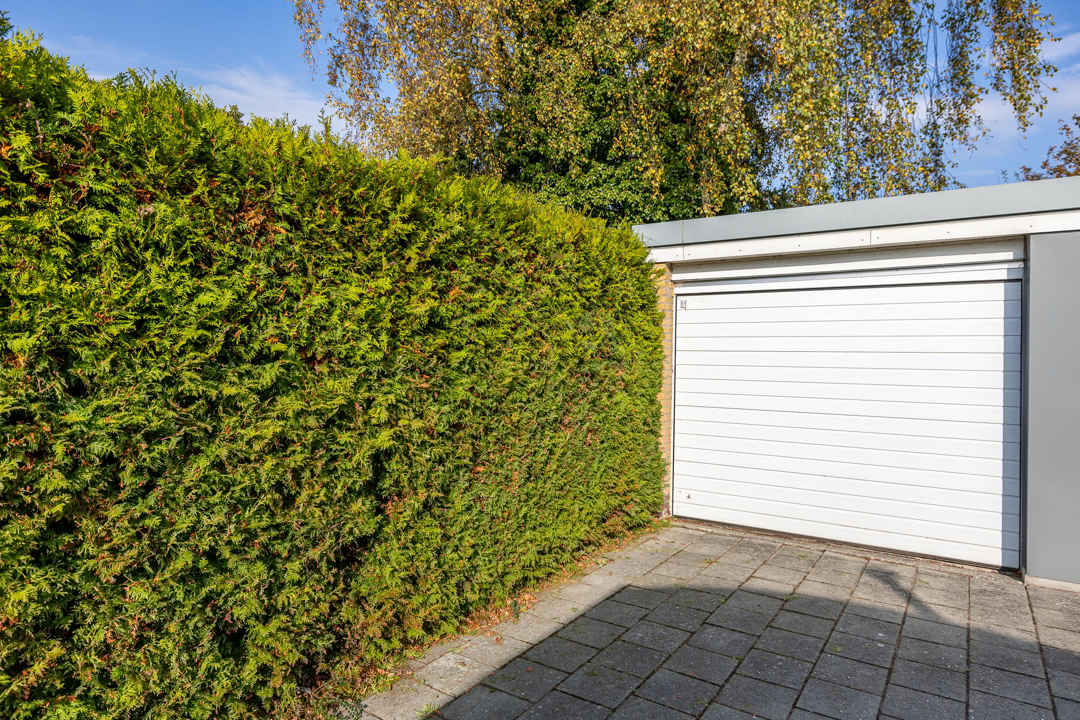 Photo 3 of Abel Eppensstraat 7