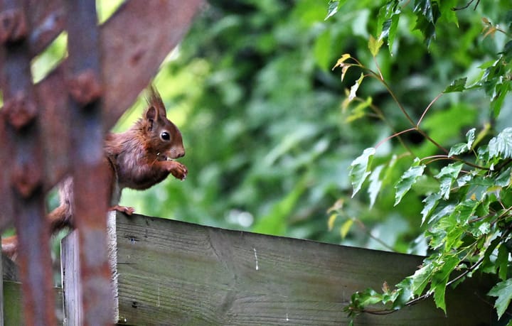 Photo 27 of Maaszicht 2