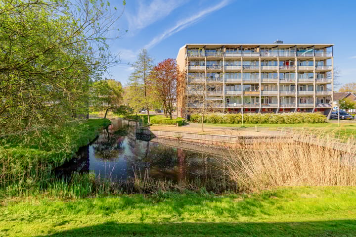 Foto 35 van Julianaplantsoen 87