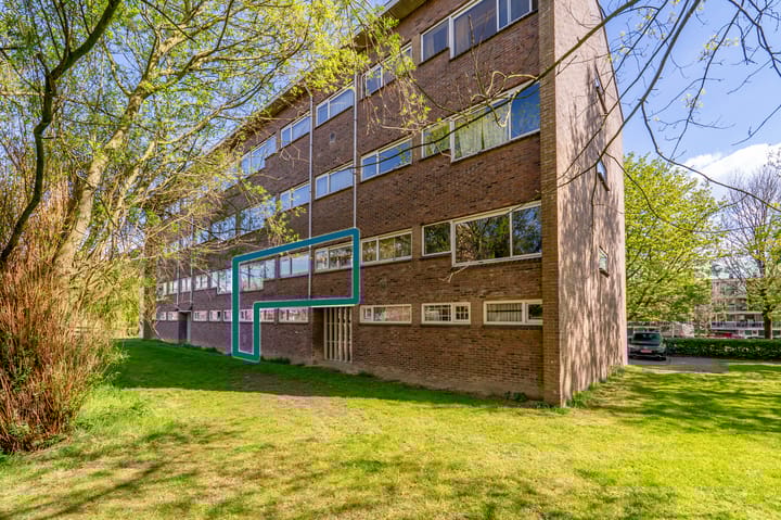 Foto 40 van Julianaplantsoen 87