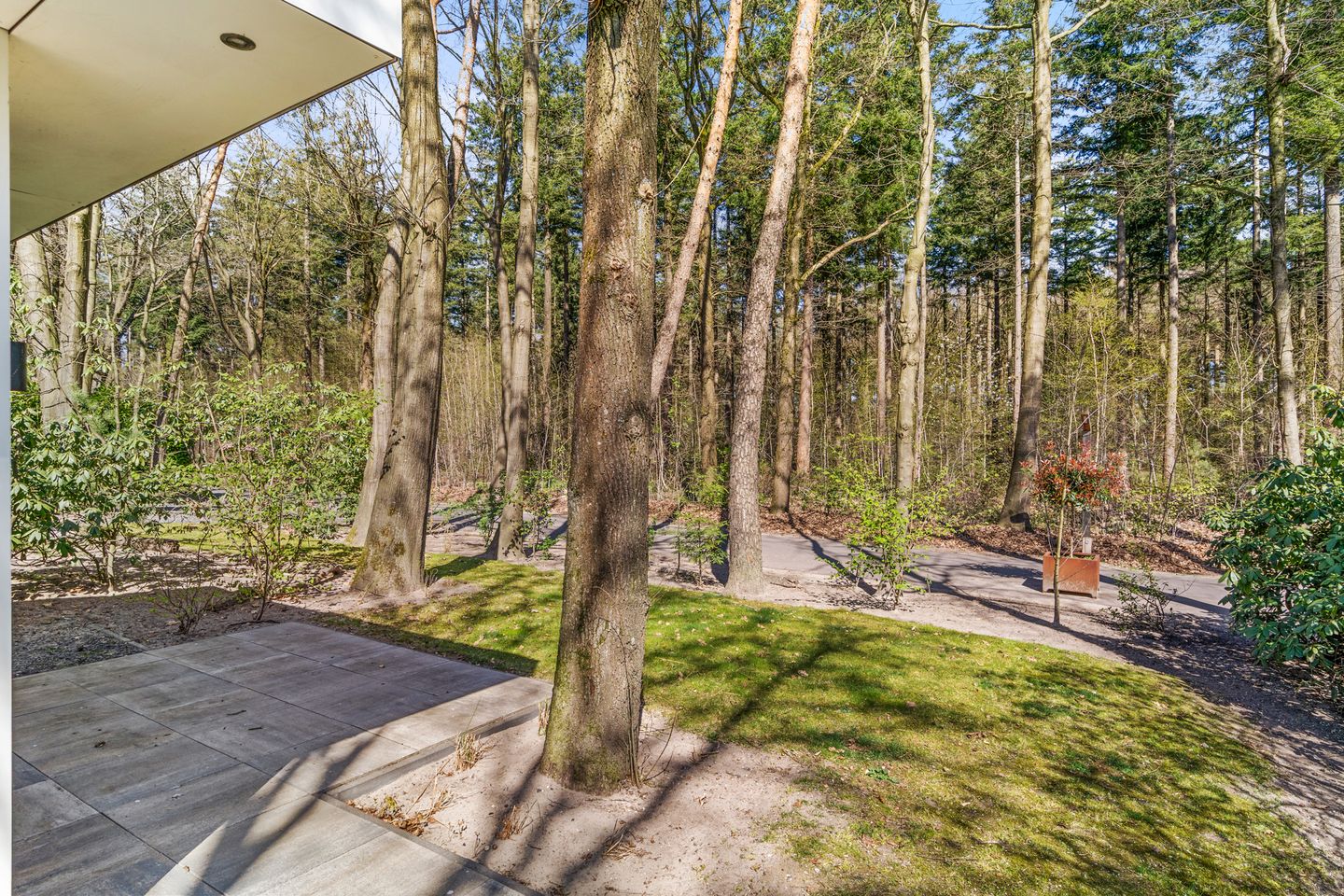 Photo 19 of Immenweg 15-R90A