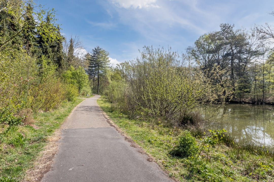 Foto 46 van Wagenaarstraat 44