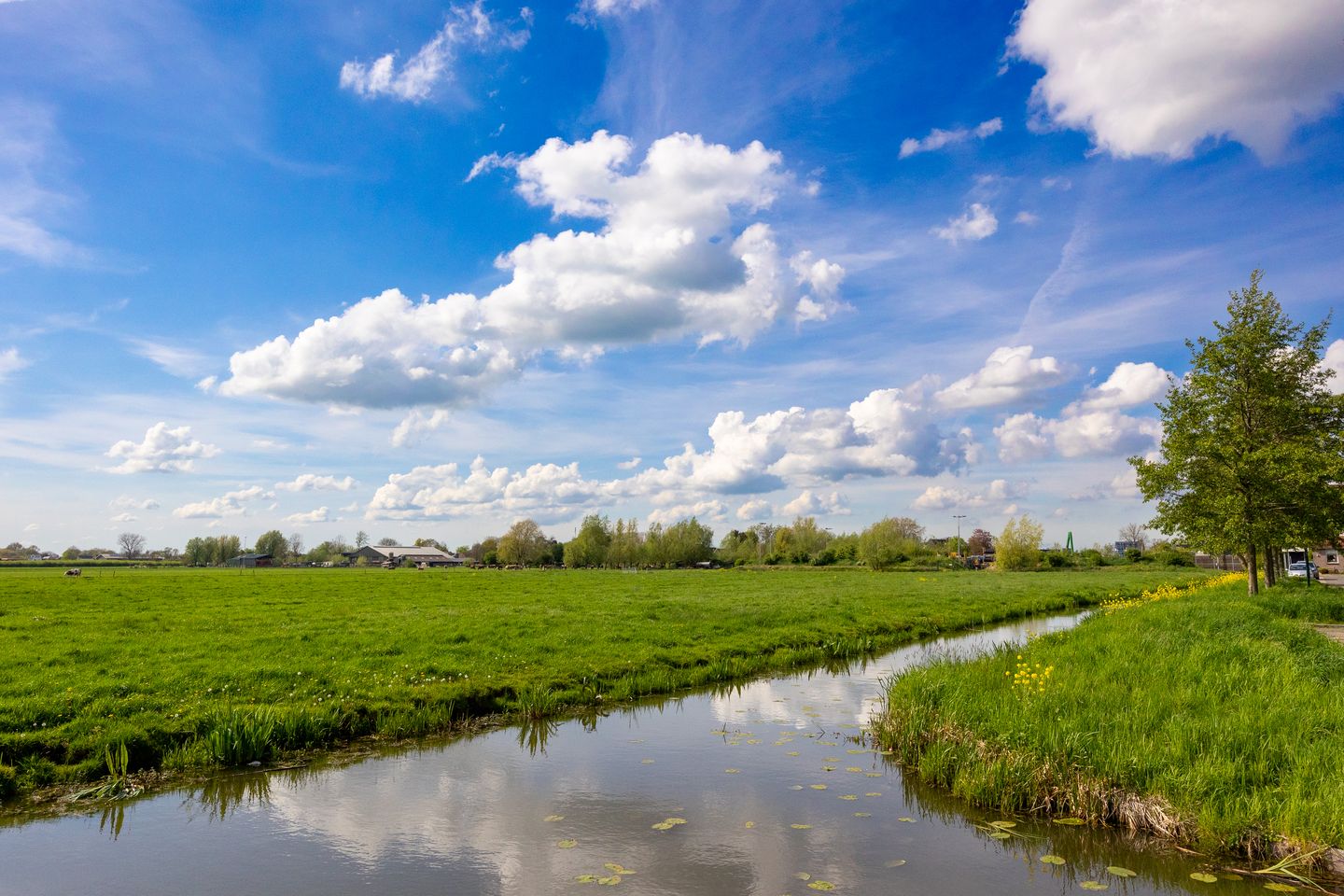 Foto 49 van Koningin Julianasingel 31