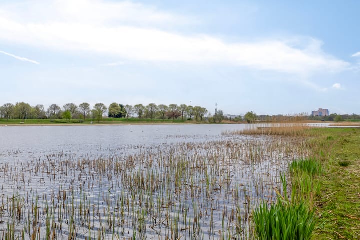 Foto 46 van Johann Faberlaan 75