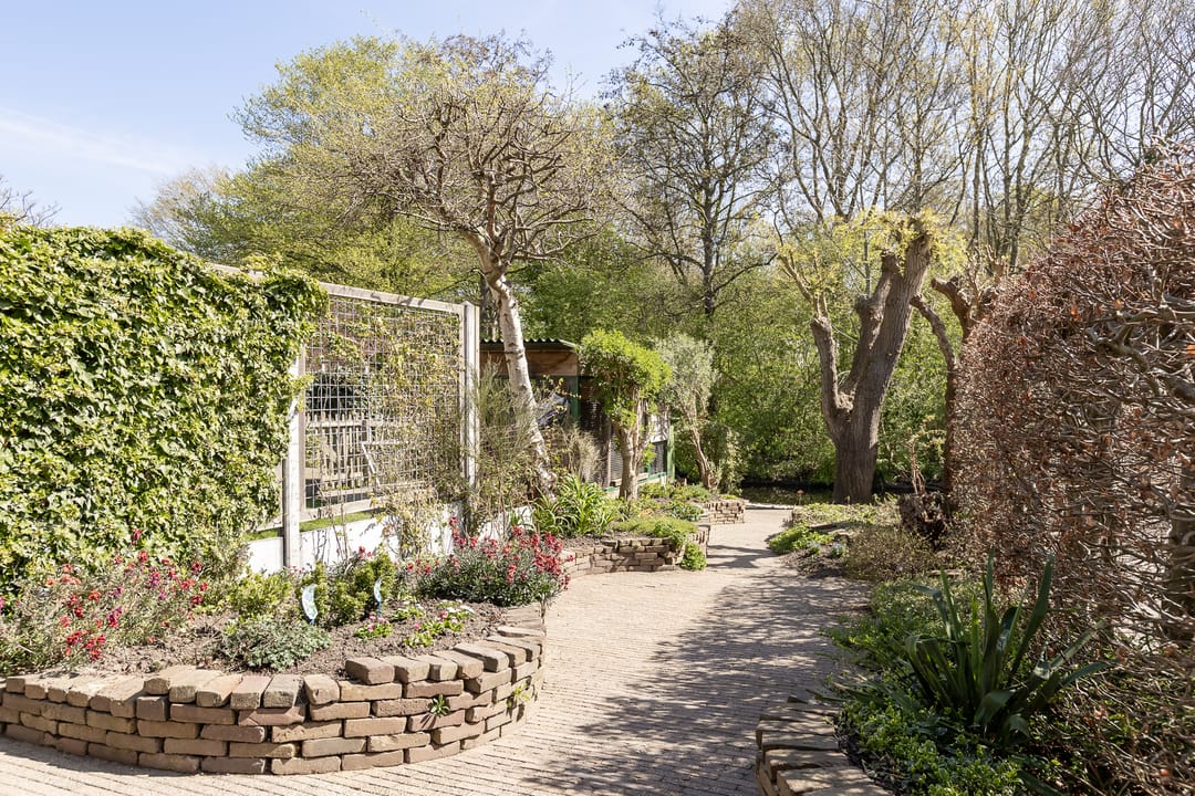 Foto 41 van Havixhorst 160