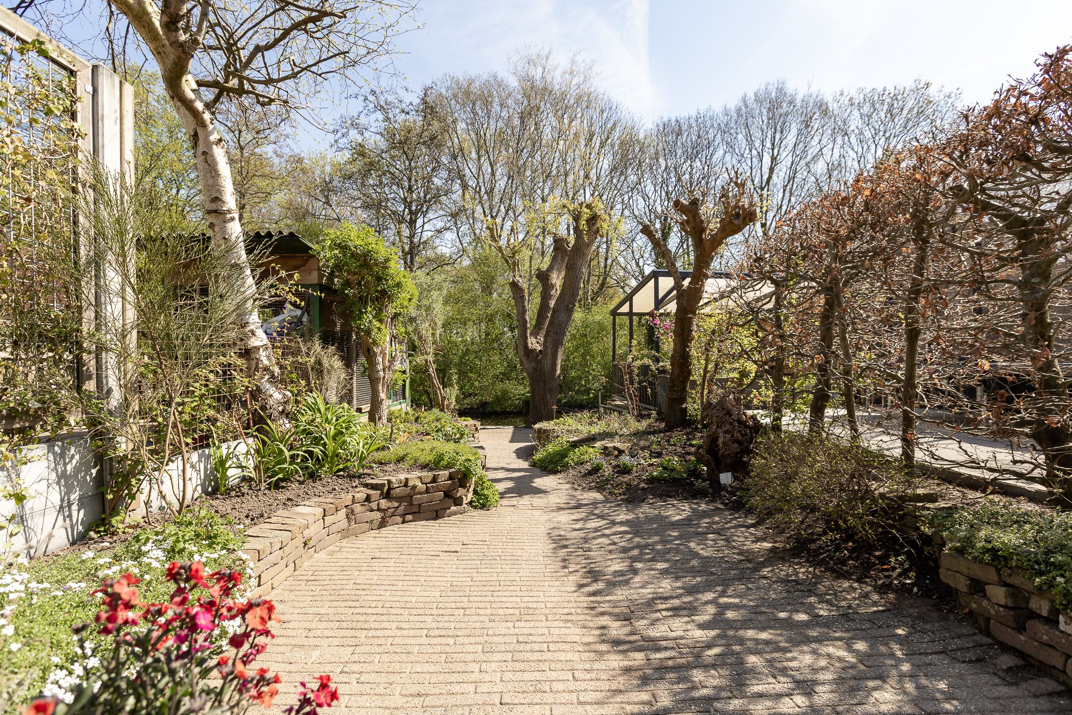 Foto 42 van Havixhorst 160