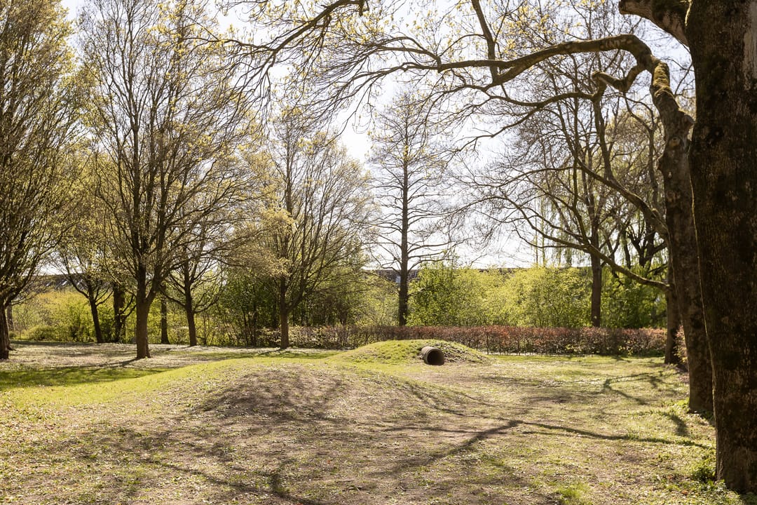 Foto 46 van Havixhorst 160