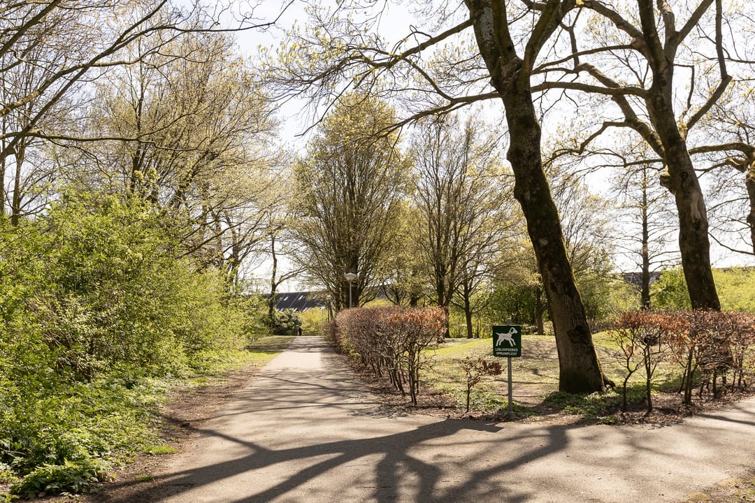 Foto 47 van Havixhorst 160