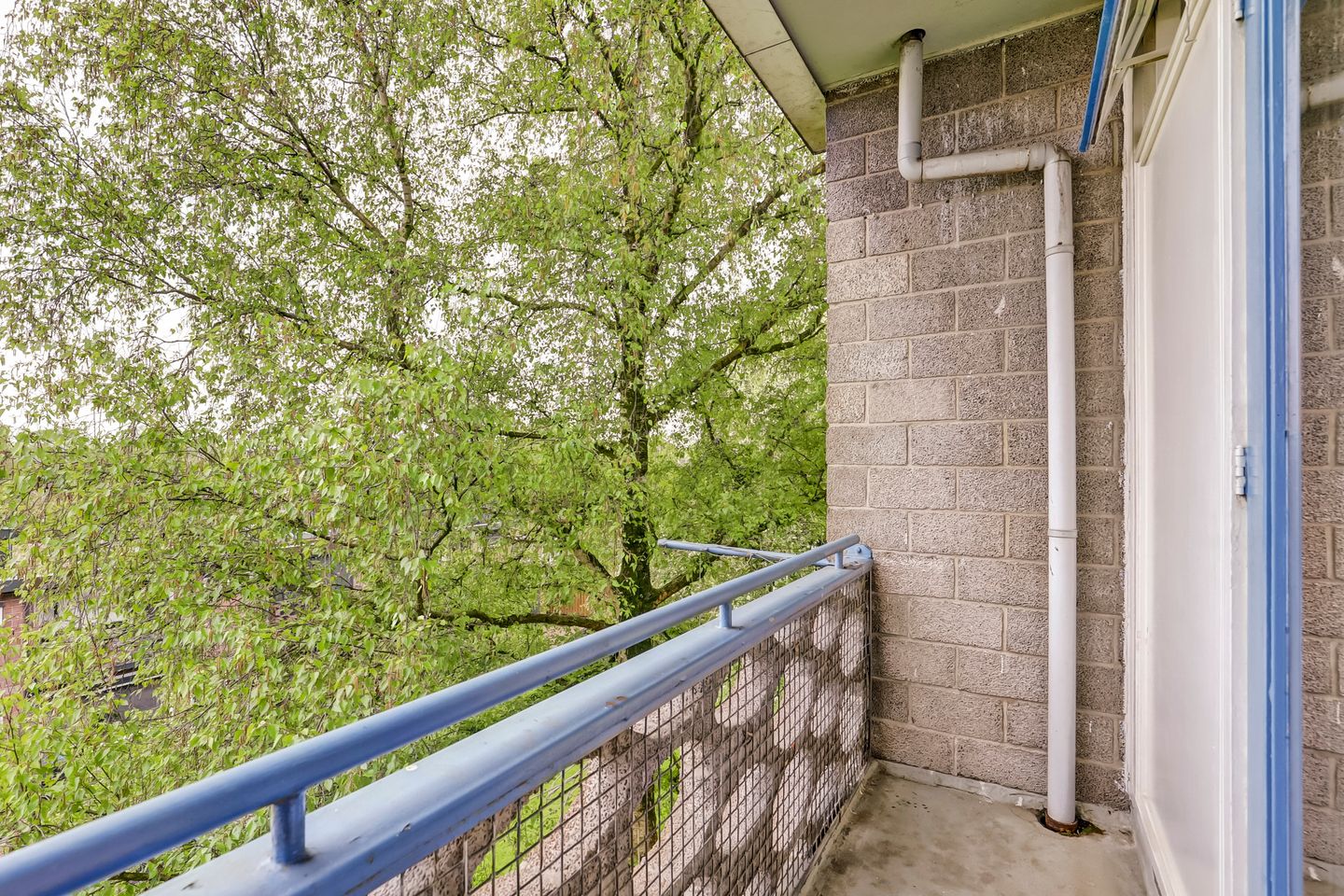 Foto 20 van Mr. Kesperweg 150