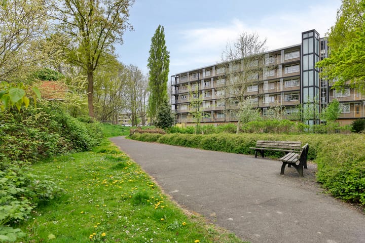 Photo 38 of Cort van der Lindenlaan 10