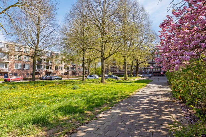 Photo 22 of Berkenlaan 161