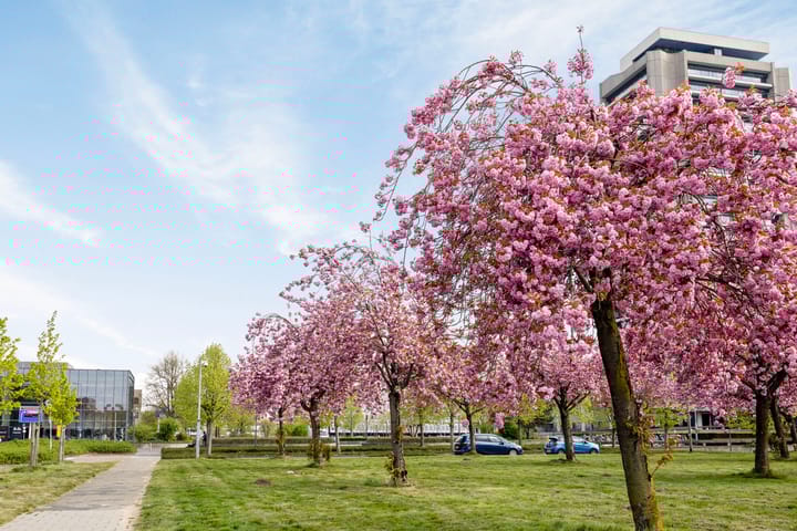 Foto 18 van Pettelaarseweg 623