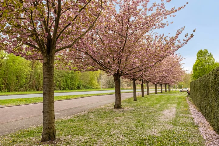 Foto 43 van Churchill-laan 17