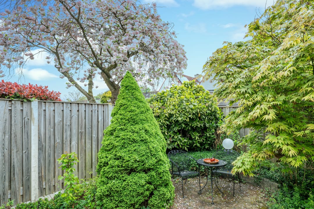 Foto 43 van Fransebaan 291