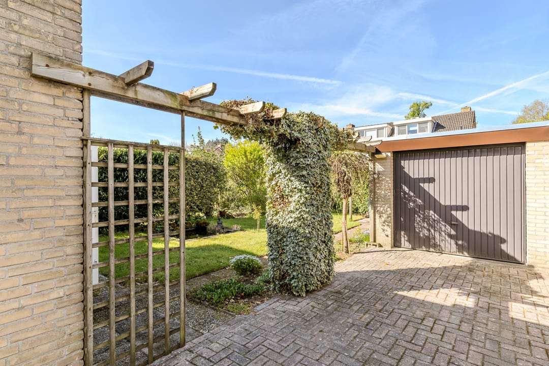 Photo 38 of Genovevadal 15