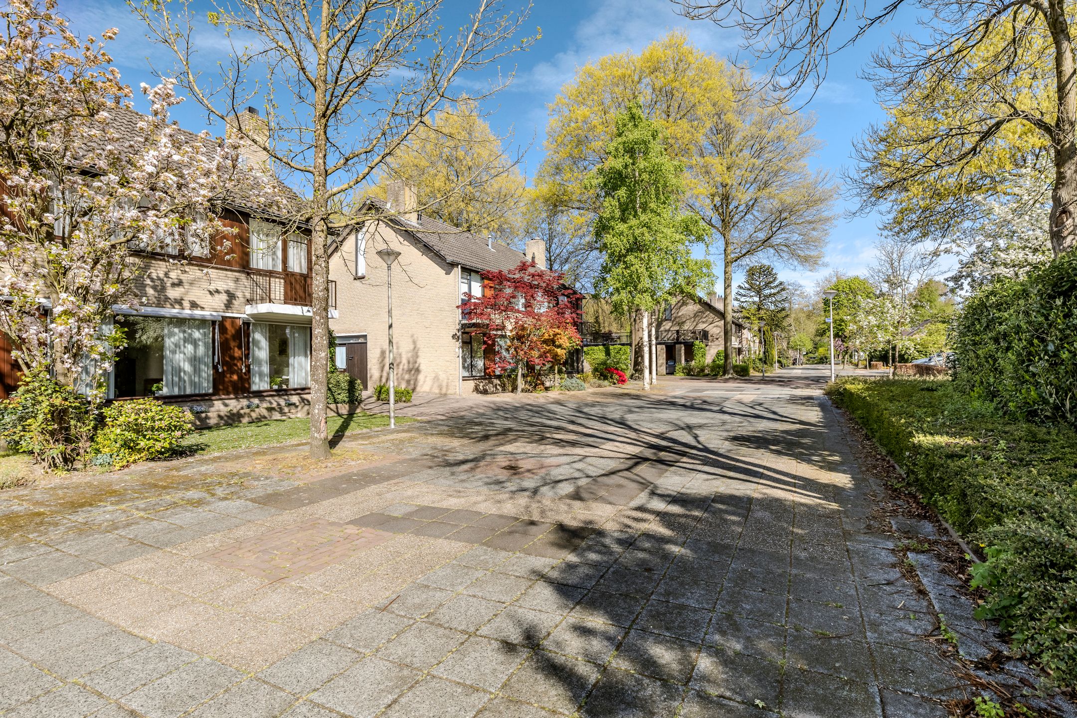 Photo 42 of Genovevadal 15