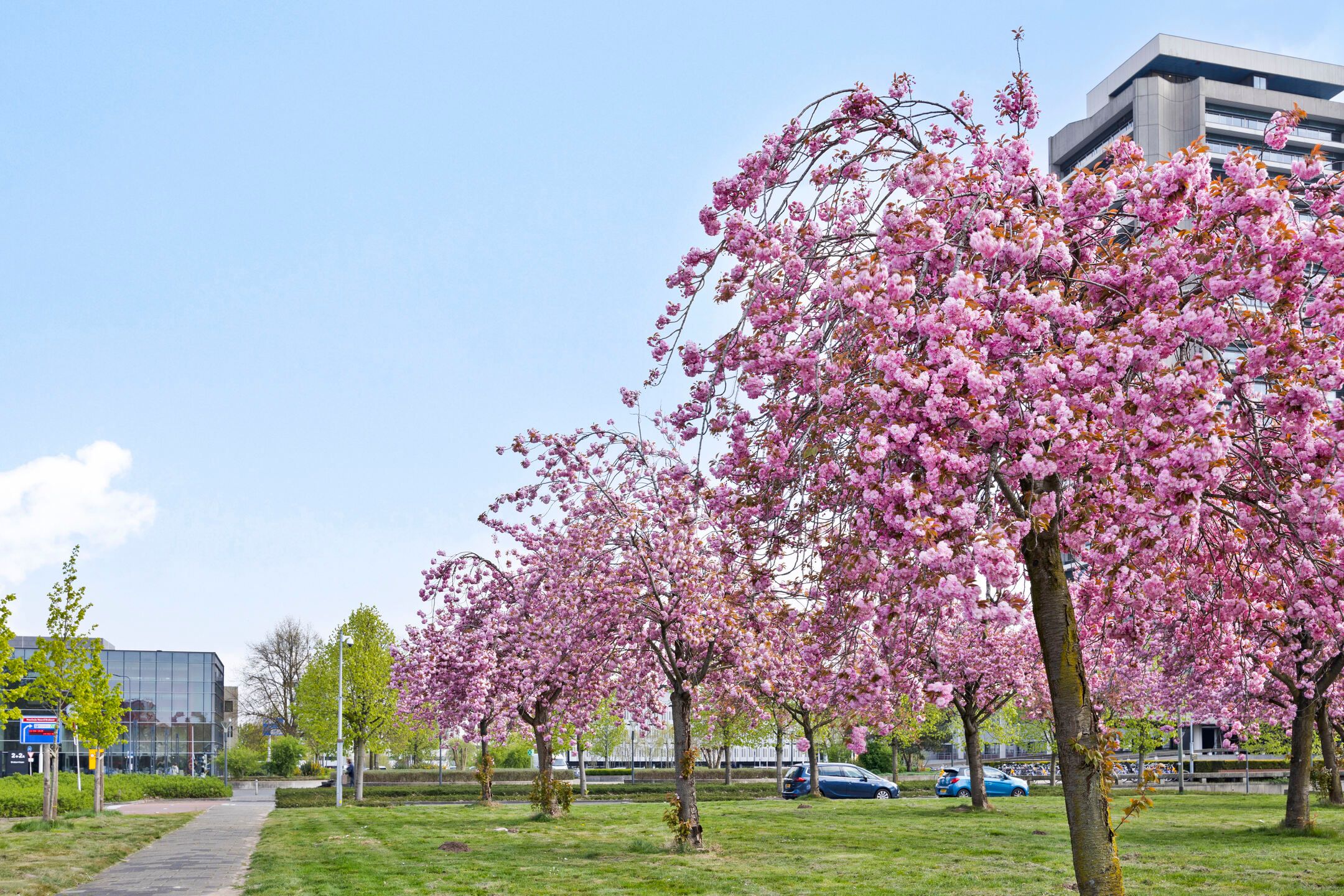 Photo 18 of Pettelaarseweg 635