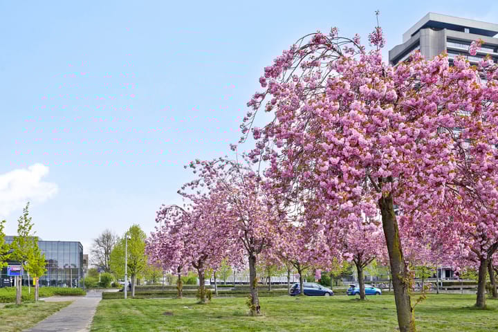 Foto 18 van Pettelaarseweg 635