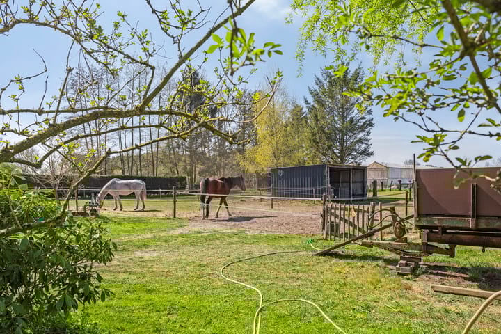 Foto 55 van Weteringdijk 10