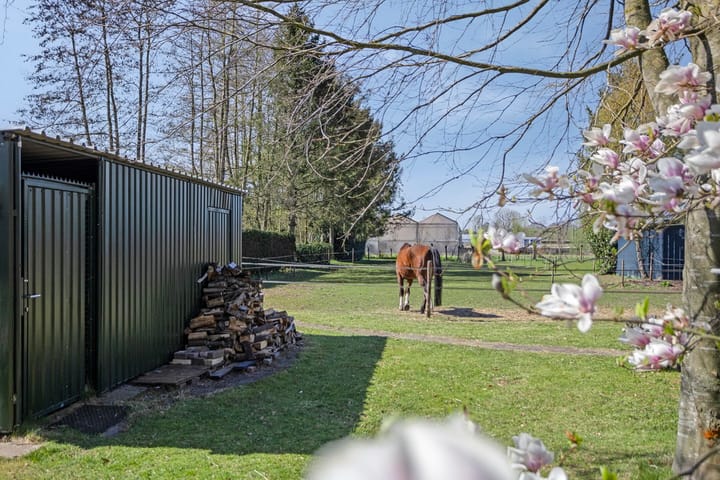 Foto 58 van Weteringdijk 10