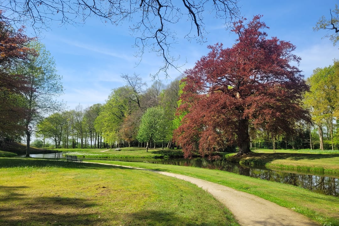 Foto 28 van Heemstrasingel 10