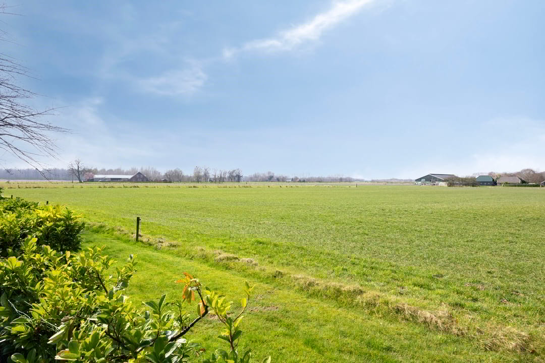 Foto 46 van Lankhorsterstraat 7