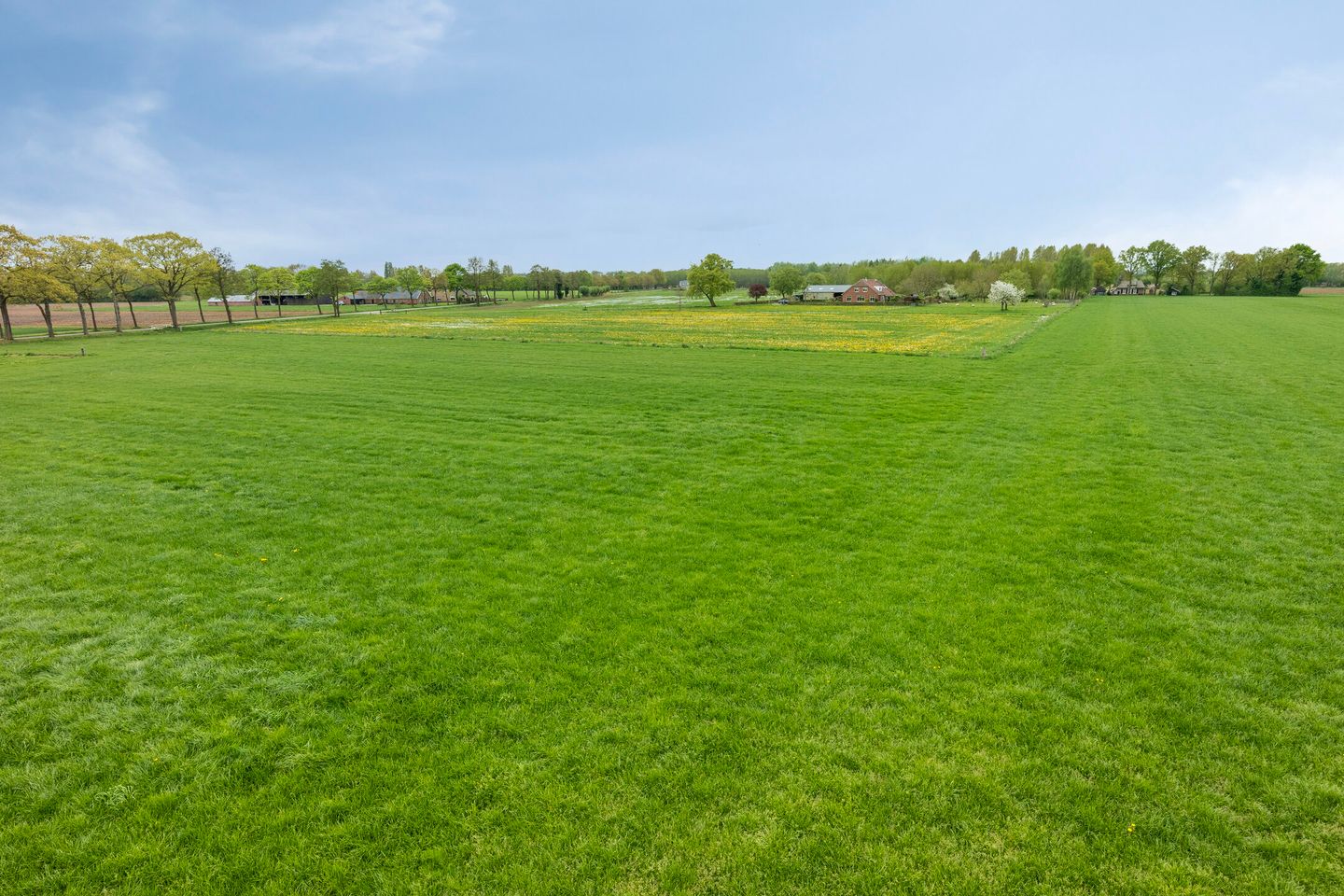 Foto 50 van Lankhorsterstraat 7