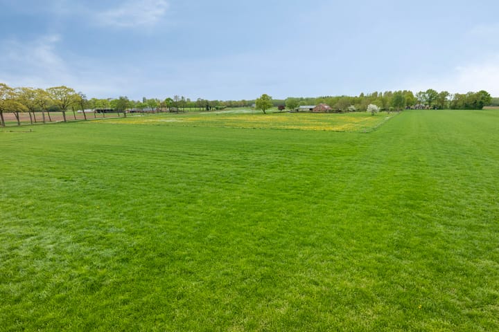 Photo 50 of Lankhorsterstraat 7