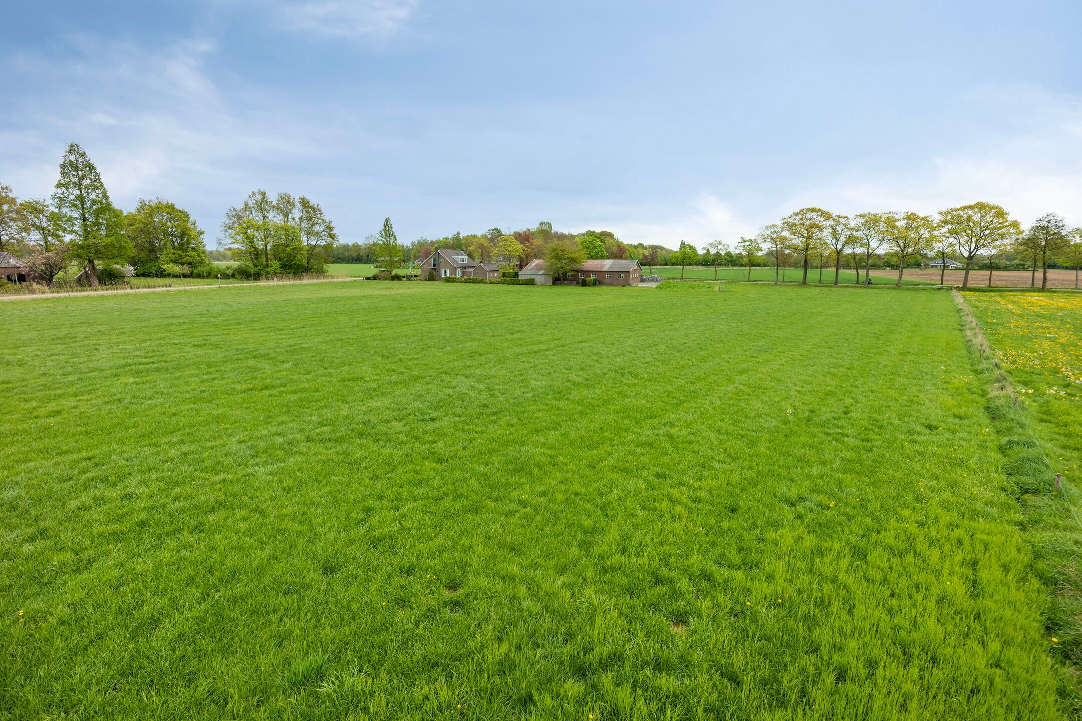 Foto 51 van Lankhorsterstraat 7