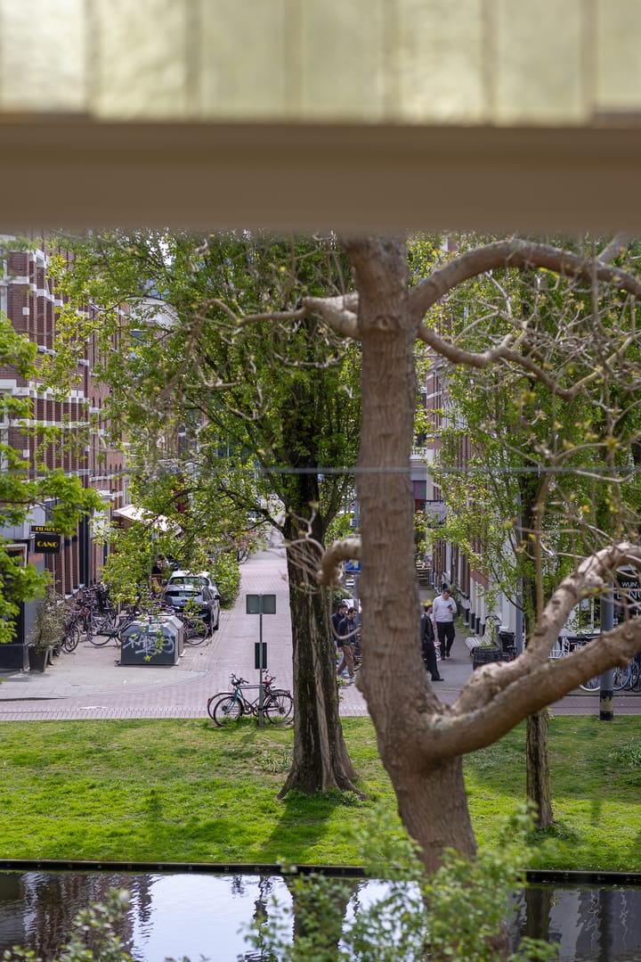 Photo 18 of Provenierssingel 29-D