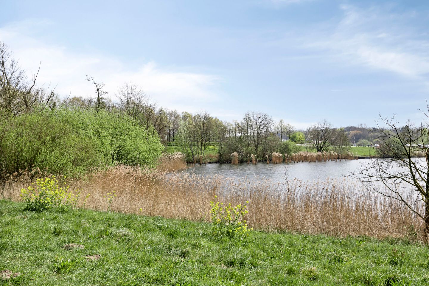 Foto 20 van Senecalaan 173