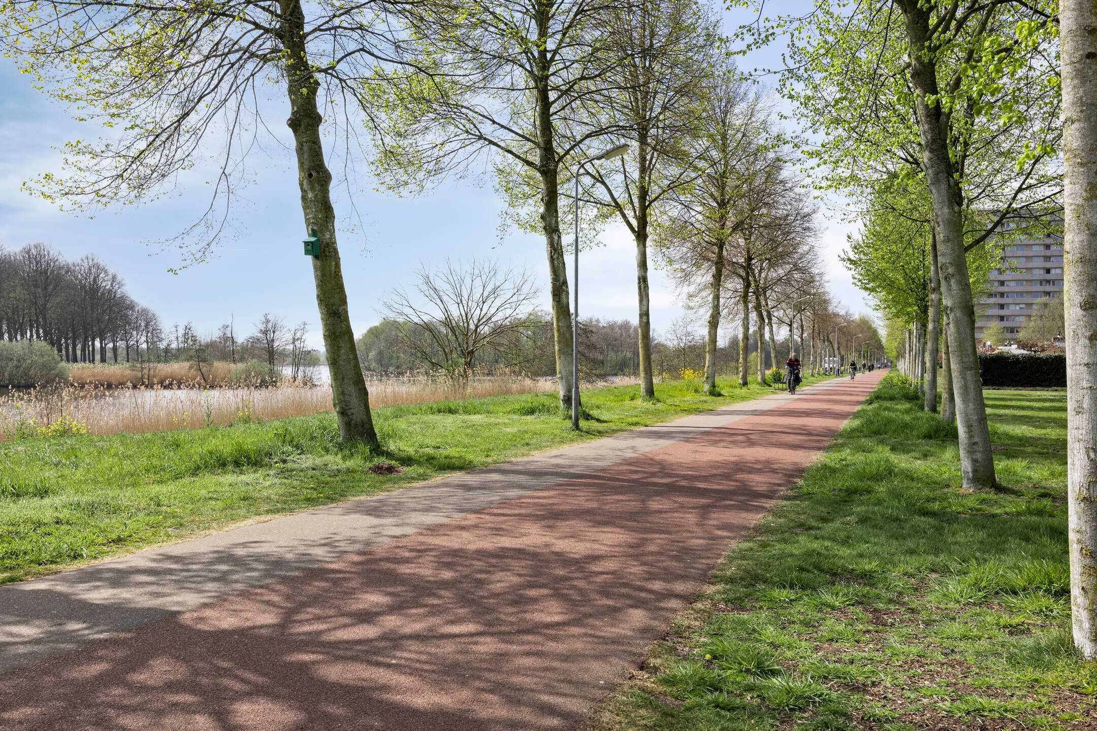 Foto 21 van Senecalaan 173