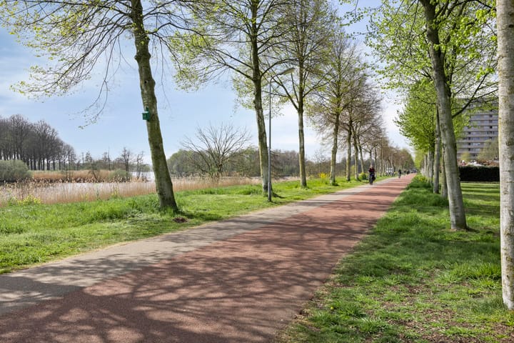 Foto 21 van Senecalaan 173