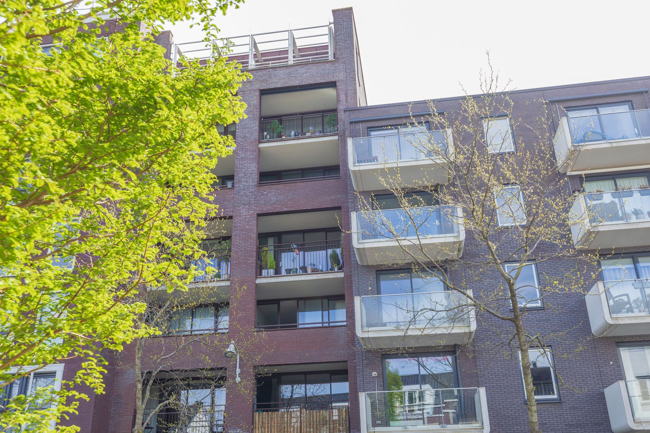 Foto 42 van Sterreschans 387