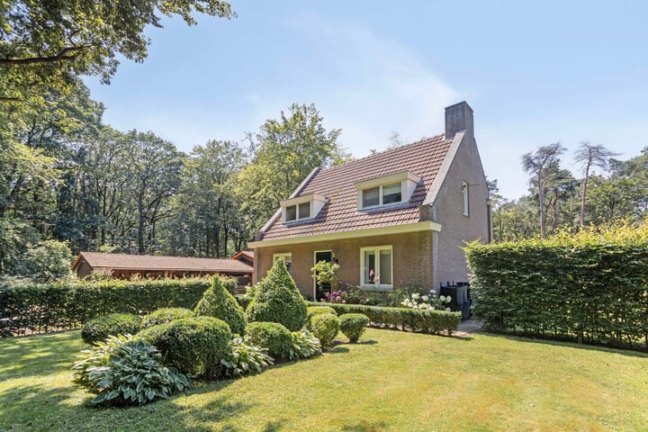 Photo 1 of Gorp aan de Ley 2