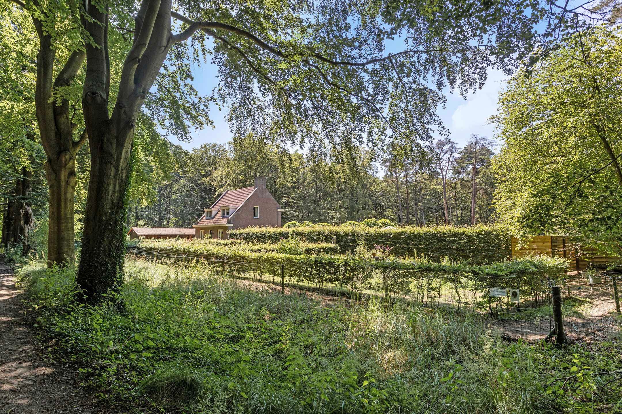 Foto 15 van Gorp aan de Ley 2