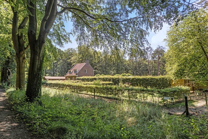 Photo 15 of Gorp aan de Ley 2